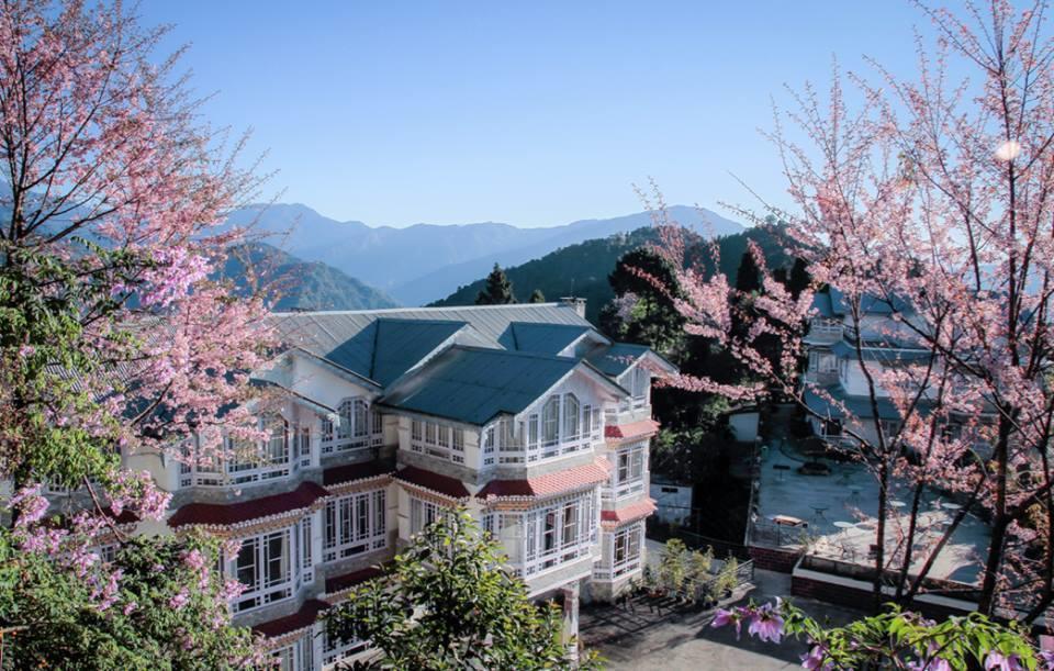 Norbu Ghangh Retreat & Spa Pemayangtse Kültér fotó